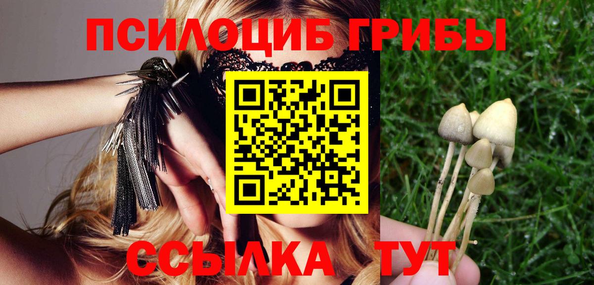 Белгород  Галлюциногенные грибы мухоморы  Псилоцибиновые грибы Cubensis  Вход с VPN 