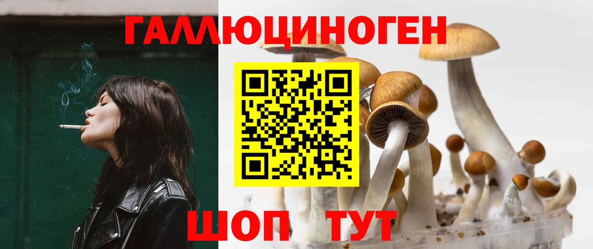 Галлюциногенные грибы прущие грибы Белгород