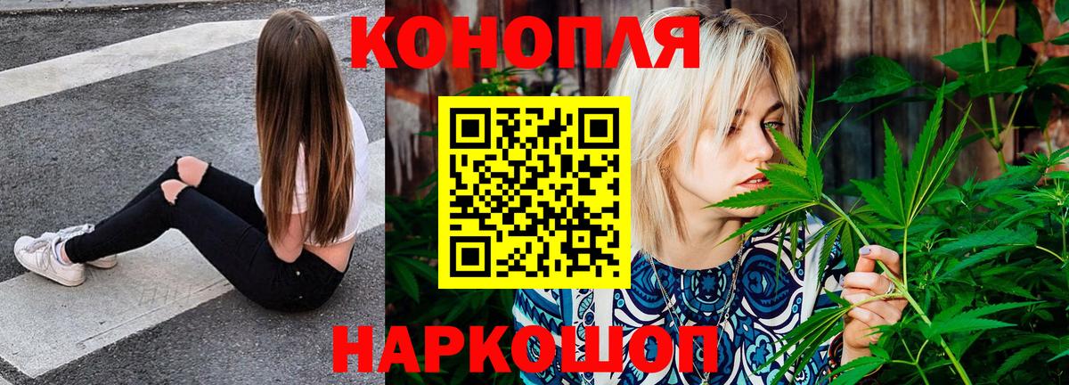 Бошки Шишки конопля Белгород